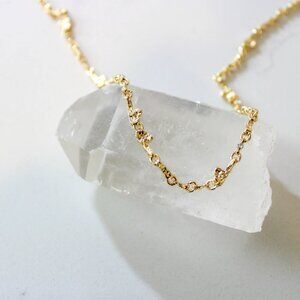 NWT Gold Plated Necklace (Adjustable)